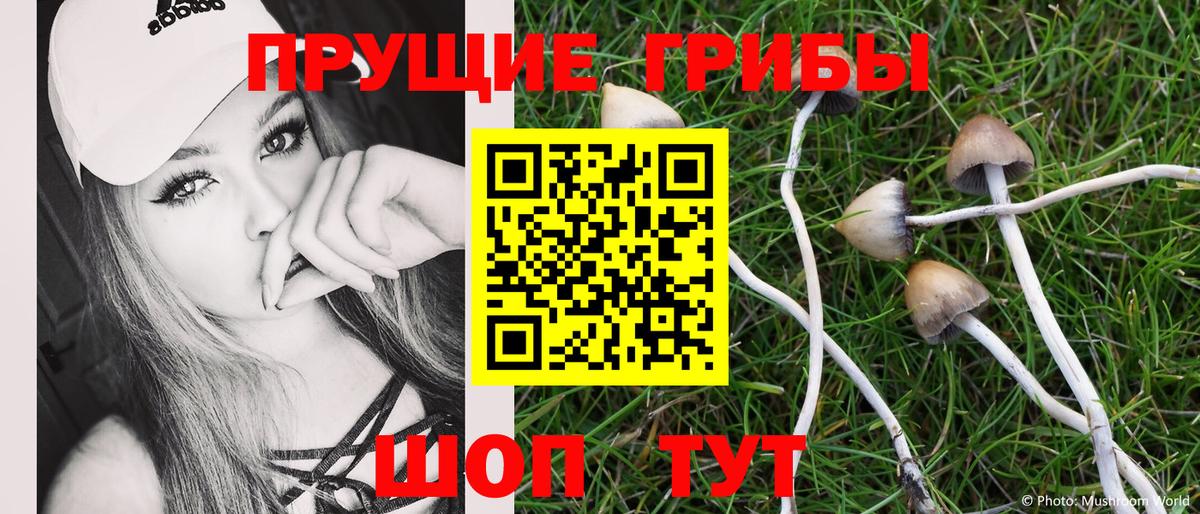 Псилоцибиновые грибы прущие грибы  Вход с VPN  как найти закладки  Псилоцибиновые грибы ЛСД  Сарапул 